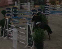 jumper Valou 2 (KWPN (Royal Dutch Sporthorse), 2002, from Gran Corrado)