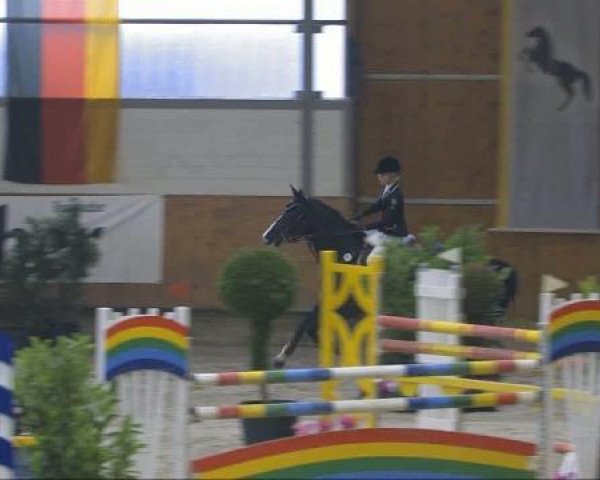 jumper Opsessie P.k. (KWPN (Royal Dutch Sporthorse), 1996, from Karandasj)