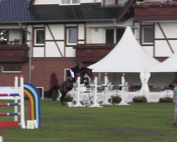 Reitturnier Münchehofe 2022