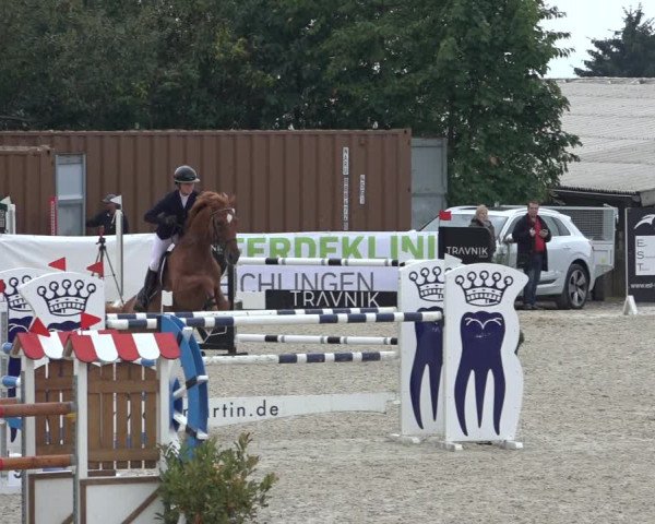 Reitturnier Leichlingen-Witzhelden 2022