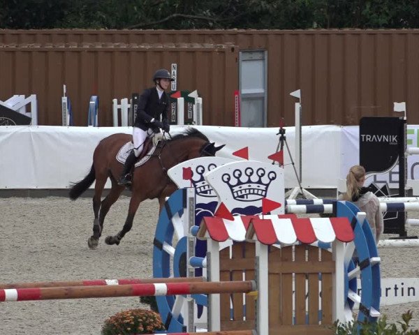 Reitturnier Leichlingen-Witzhelden 2022