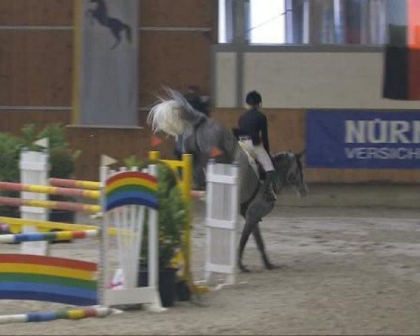 jumper Leoniedas (Holsteiner, 2003, from Lorentin I)