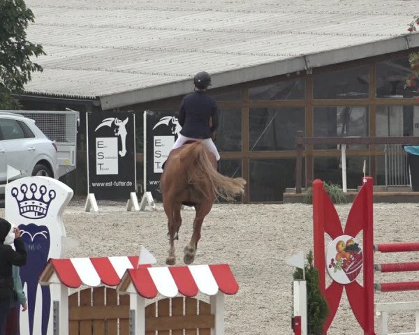 Reitturnier Leichlingen-Witzhelden 2022
