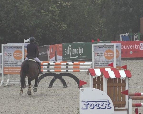 Reitturnier Leichlingen-Witzhelden 2022