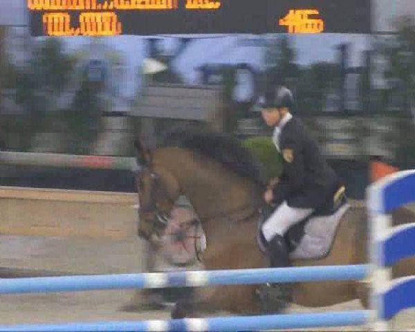jumper Ornet Kerfontaine (Selle Français, 2002, from Vert et Rouge)