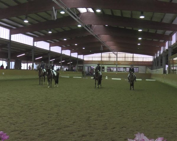 Reitturnier Appelhülsen 2022