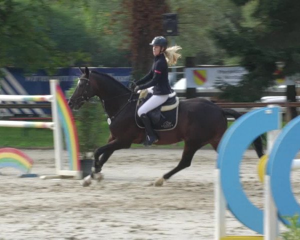 Reitturnier Walldorf/Winterheck 2022