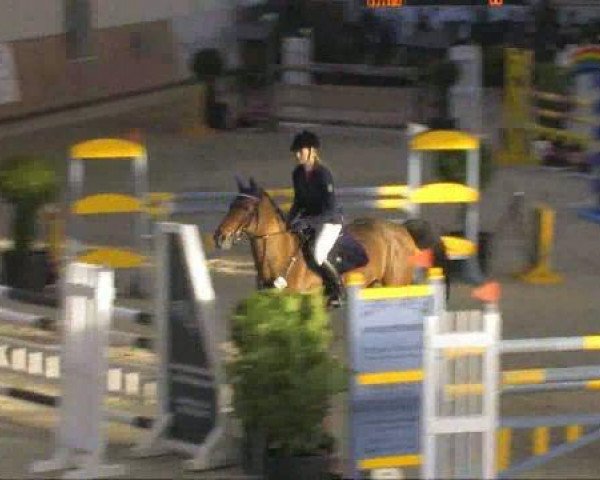 broodmare Carina T (Westphalian, 1999, from Calipso)