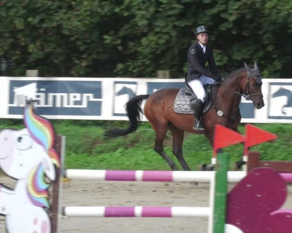 Reitturnier Walldorf/Winterheck 2022