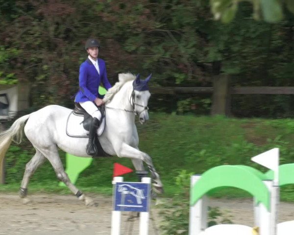 Reitturnier Walldorf/Winterheck 2022