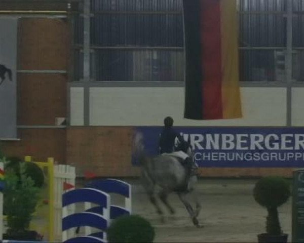 Springpferd Chandro 6 (Holsteiner, 2005, von Calato)