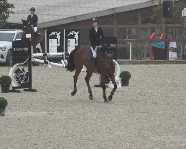 Reitturnier Leichlingen-Witzhelden 2022