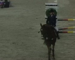 jumper Emily Erdbeere (German Riding Pony, 2002, from Golden Dream R)