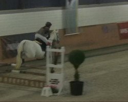 jumper Fallun (Rhinelander, 2001, from Feuerblick)