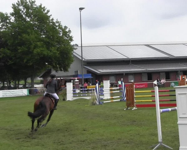 Reitturnier Münchehofe 2022