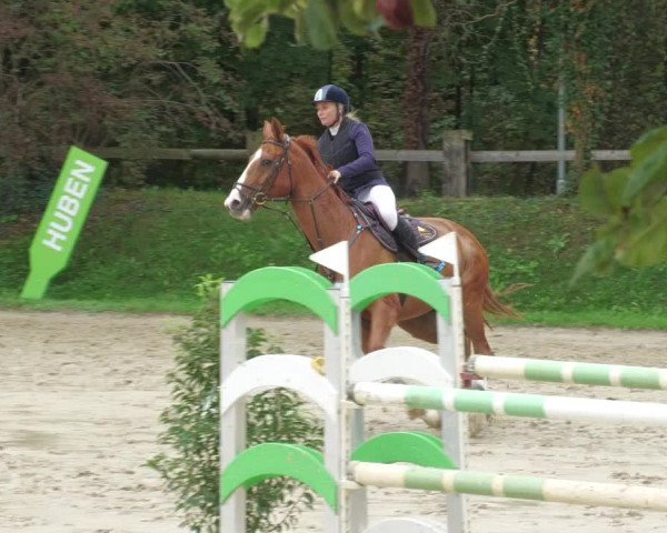 Reitturnier Walldorf/Winterheck 2022