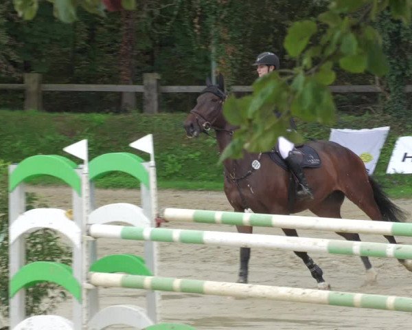 Reitturnier Walldorf/Winterheck 2022