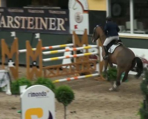 horse Champery 2 (Oldenburg show jumper, 2004, from Champion For Pleasure)