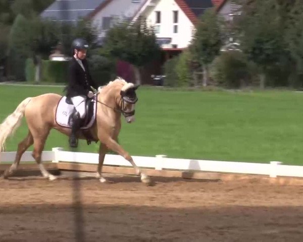 Reitturnier Babenhausen/Schw. 2022