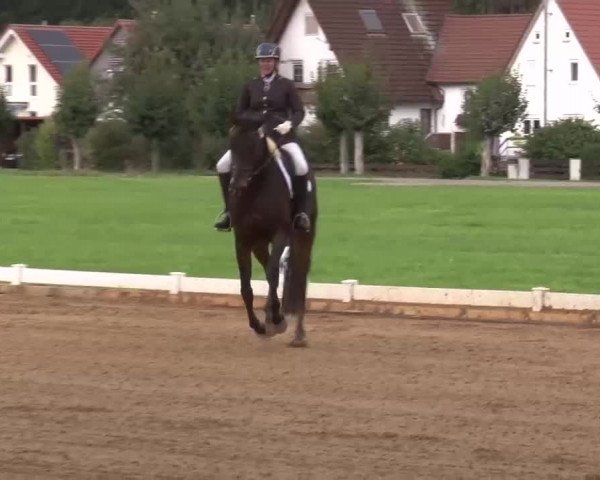 Reitturnier Babenhausen/Schw. 2022