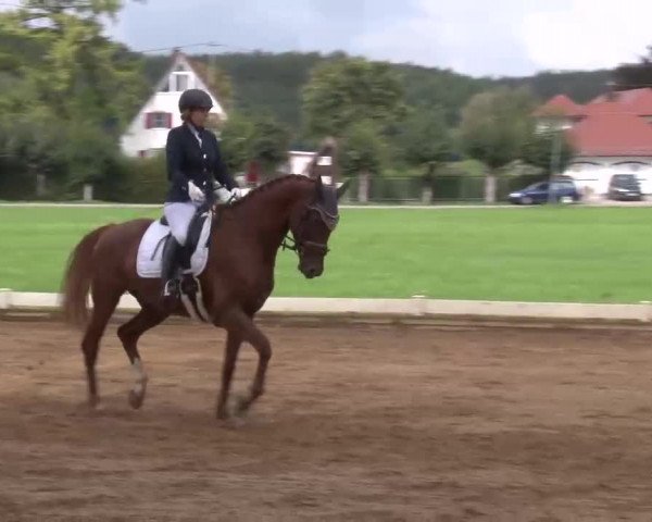 Reitturnier Babenhausen/Schw. 2022