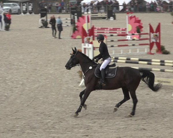 Reitturnier Leichlingen-Witzhelden 2022