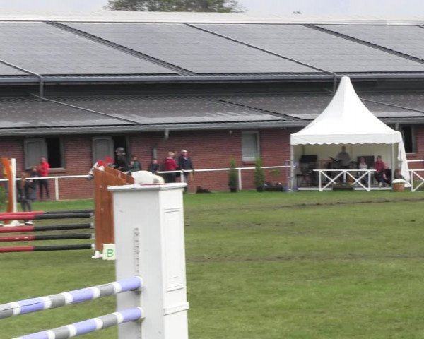 Reitturnier Münchehofe 2022
