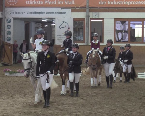 Reitturnier Appelhülsen 2022