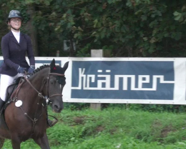Reitturnier Walldorf/Winterheck 2022
