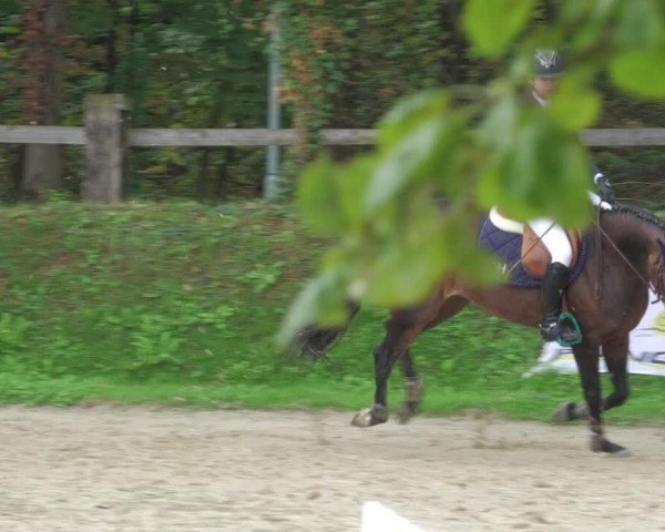 Reitturnier Walldorf/Winterheck 2022