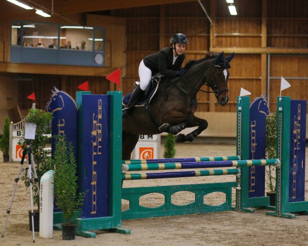 Springpferd Cantamessa Vom Weidhof CH (Schweizer Warmblut, 2000, von Lehar)