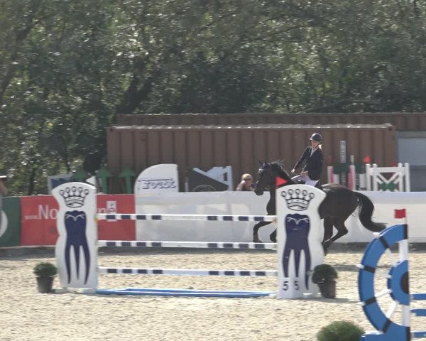Reitturnier Leichlingen-Witzhelden 2022