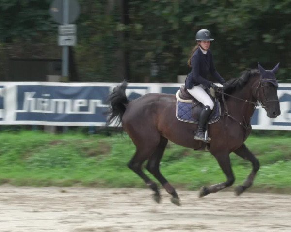 Reitturnier Walldorf/Winterheck 2022