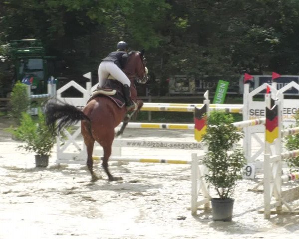 Reitturnier Walldorf/Winterheck 2022