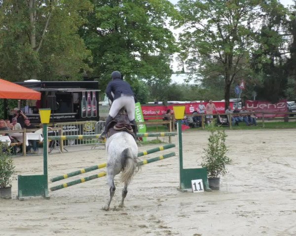 Reitturnier Walldorf/Winterheck 2022