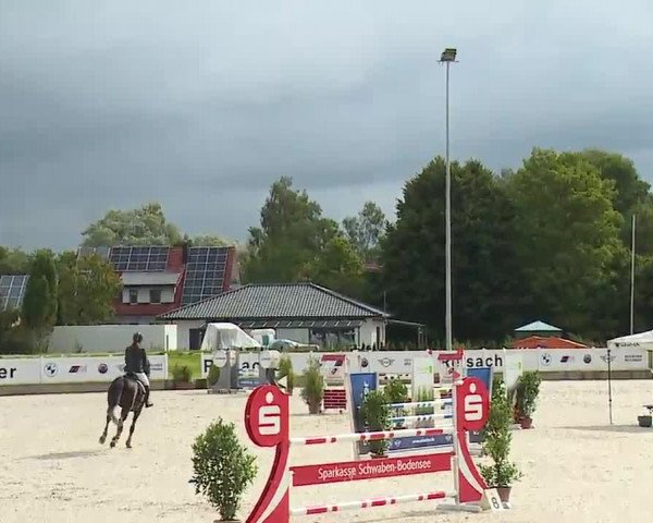 Reitturnier Babenhausen/Schw. 2022