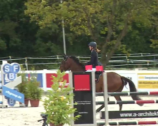 Reitturnier Babenhausen/Schw. 2022