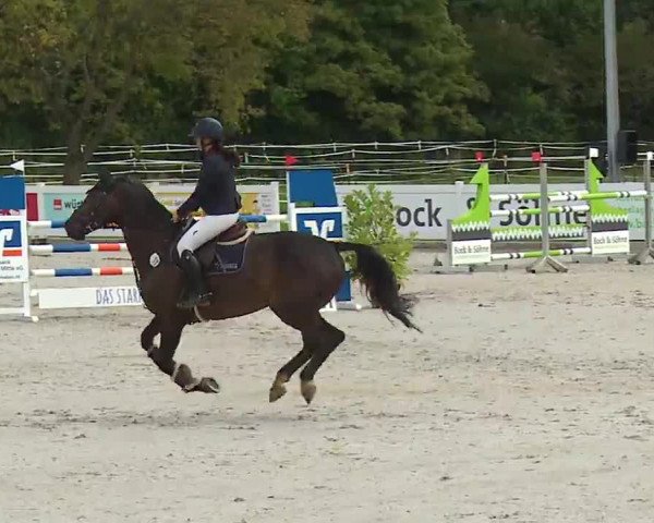 Reitturnier Babenhausen/Schw. 2022