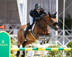 broodmare Zanta Z (Zangersheide riding horse, 2010, from Zandor Z)