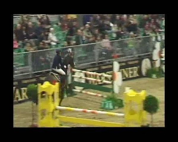 jumper Garibaldi 66 (Hanoverian, 1992, from Grannus)