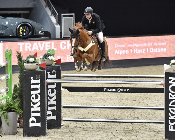 jumper Claude 6 (Westphalian, 2012, from Captain Jack 44)
