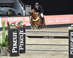 Springpferd Claude 6 (Westfale, 2012, von Captain Jack 44)