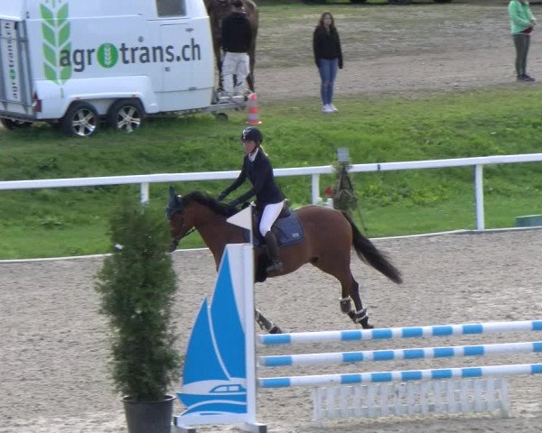 Reitturnier Bülach 2022
