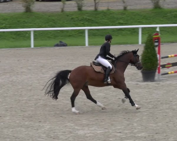 Reitturnier Bülach 2022