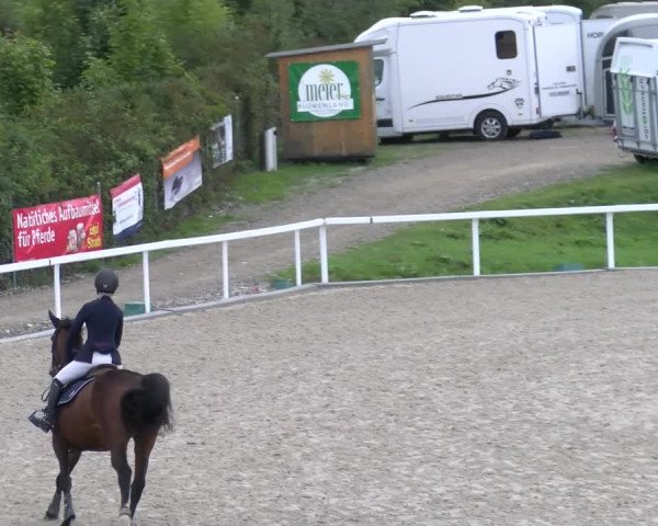 Reitturnier Bülach 2022