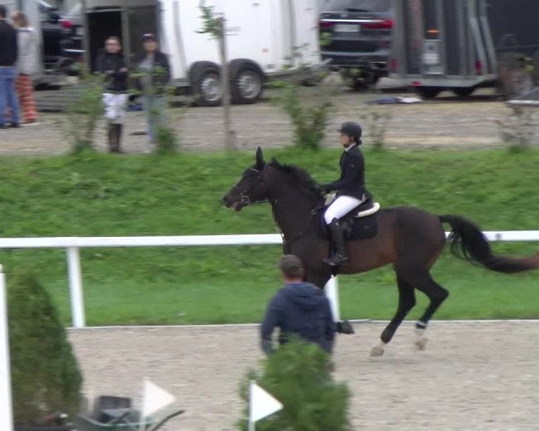 Reitturnier Bülach 2022
