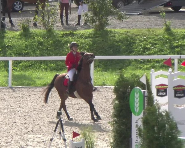 Reitturnier Bülach 2022