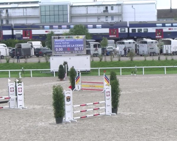 Reitturnier Bülach 2022