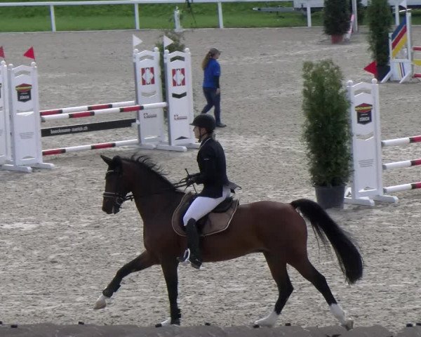Reitturnier Bülach 2022