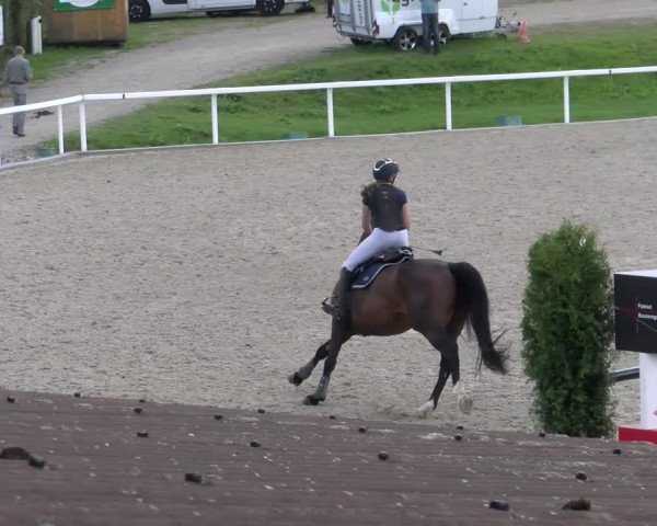 Reitturnier Bülach 2022